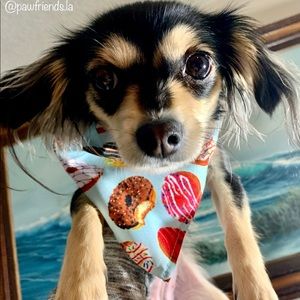 Dog/cat bandana bib